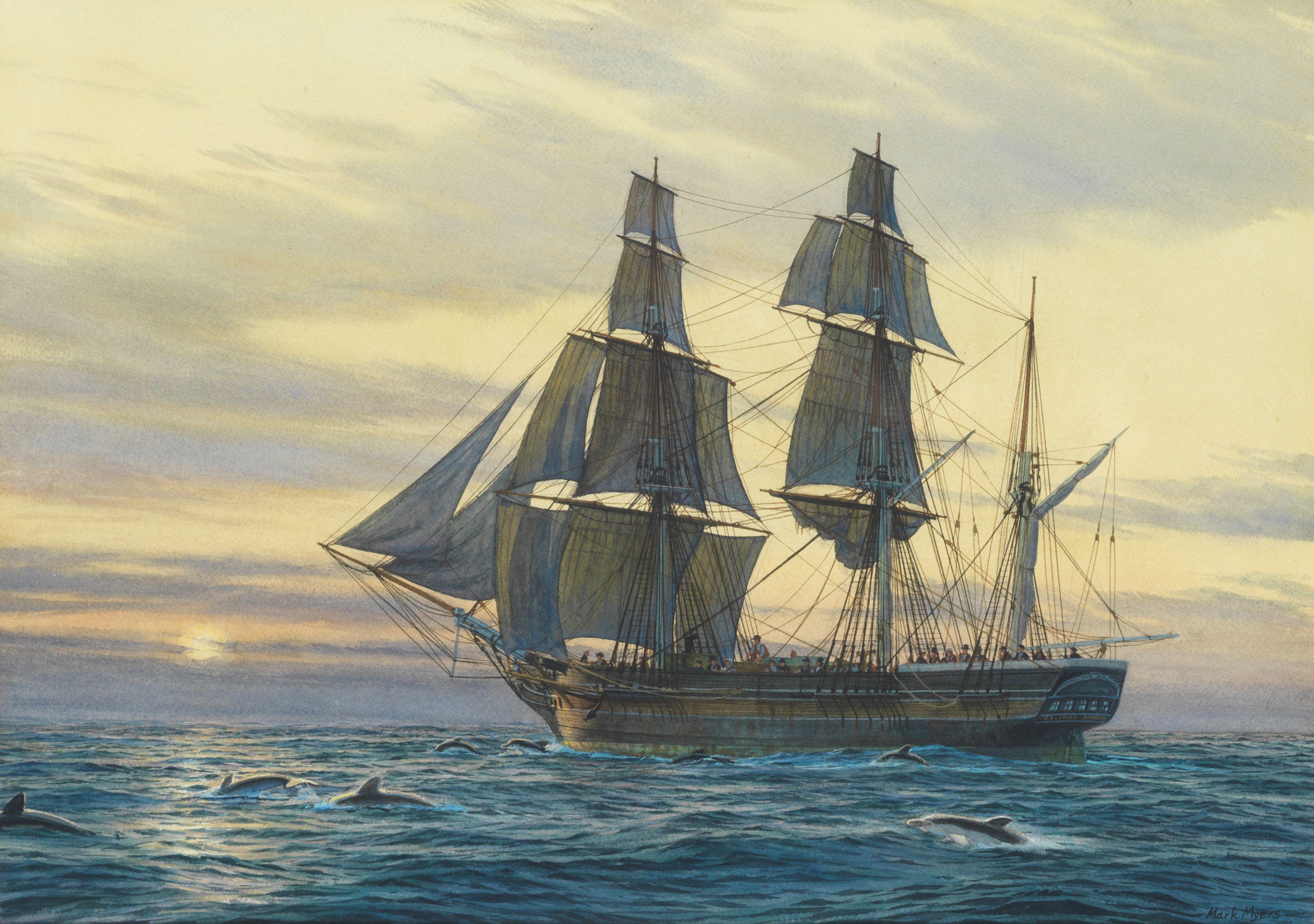 Mark Richard Myers - \'Calypso and the dolphins\'