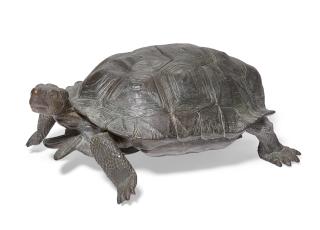 Mark Rossi - Desert Tortoise