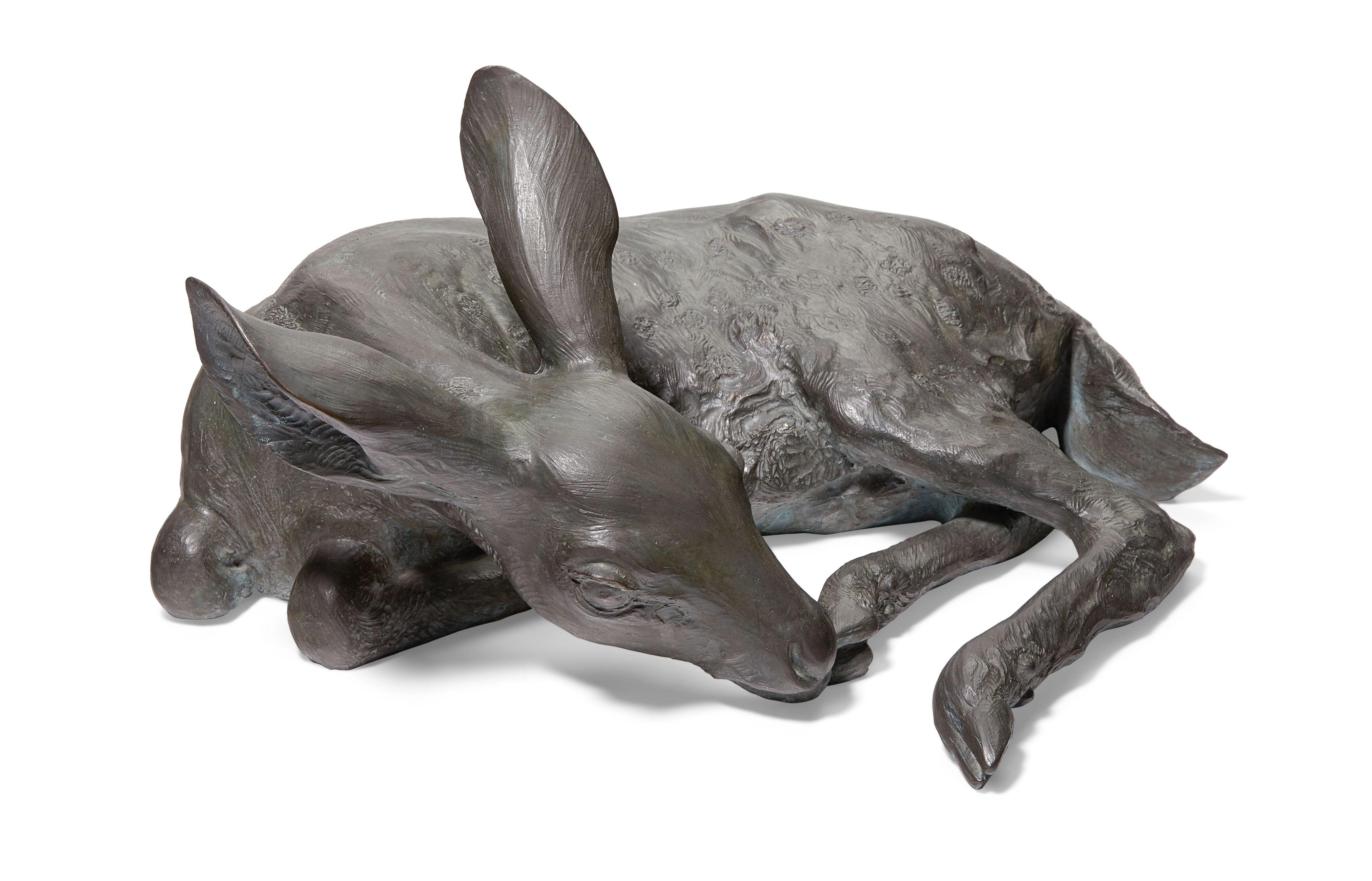 Mark Rossi - White-tail Fawn, Female Deer (Odocoileus Reclining, licking hoof)