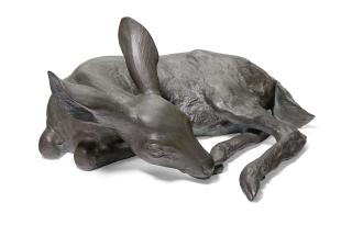 Mark Rossi - White-tail Fawn, Female Deer (Odocoileus Reclining, licking hoof)