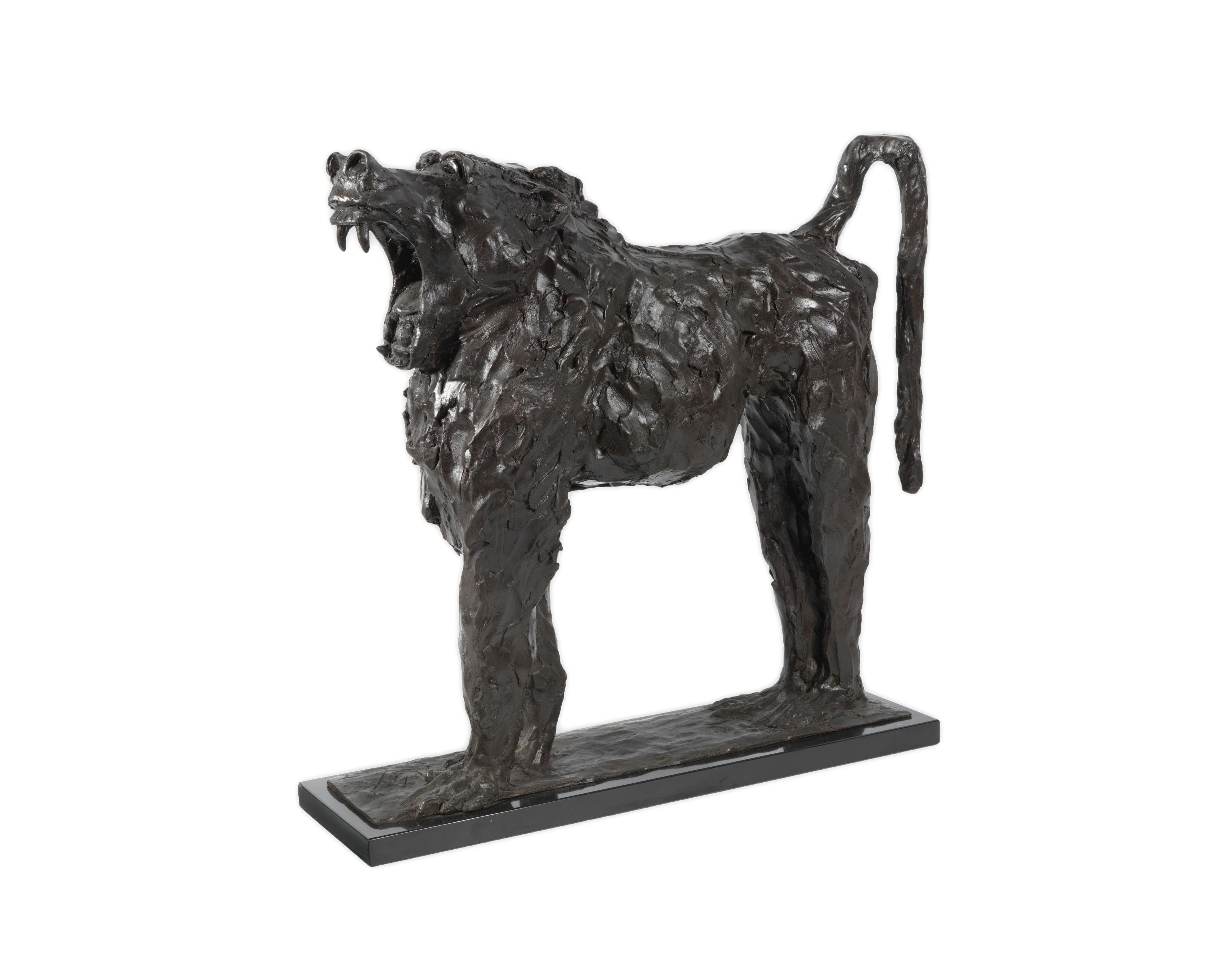 Mark Rudolf Coreth - Baboon