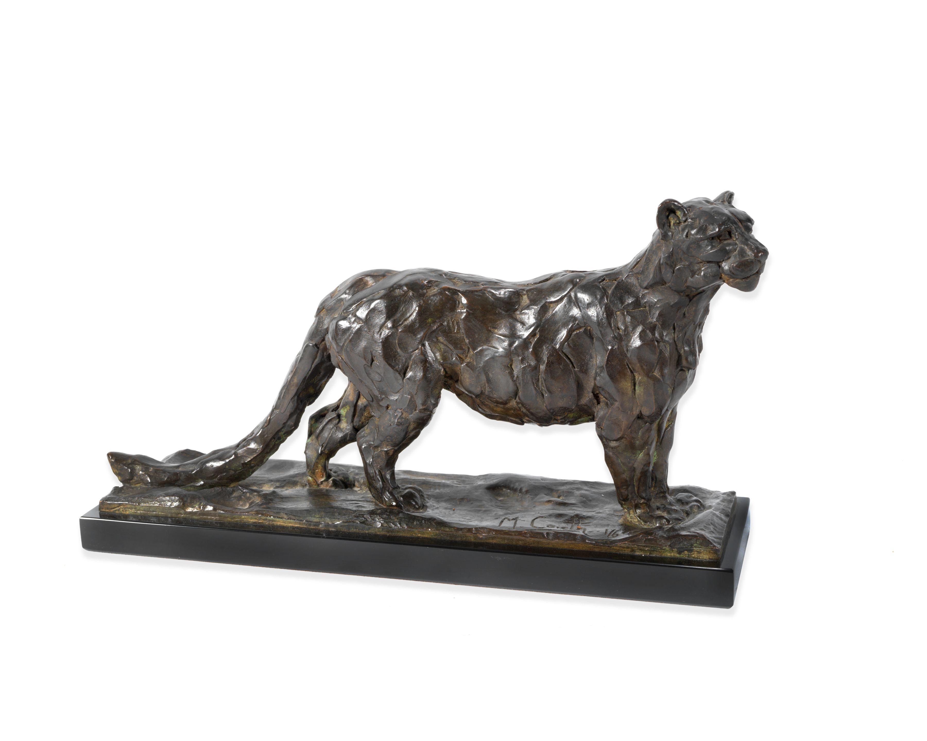 Mark Rudolf Coreth - Snow Leopard