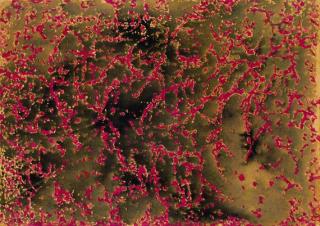 Mark Tobey - Red Trails