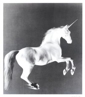 Mark Wallinger - Ghost