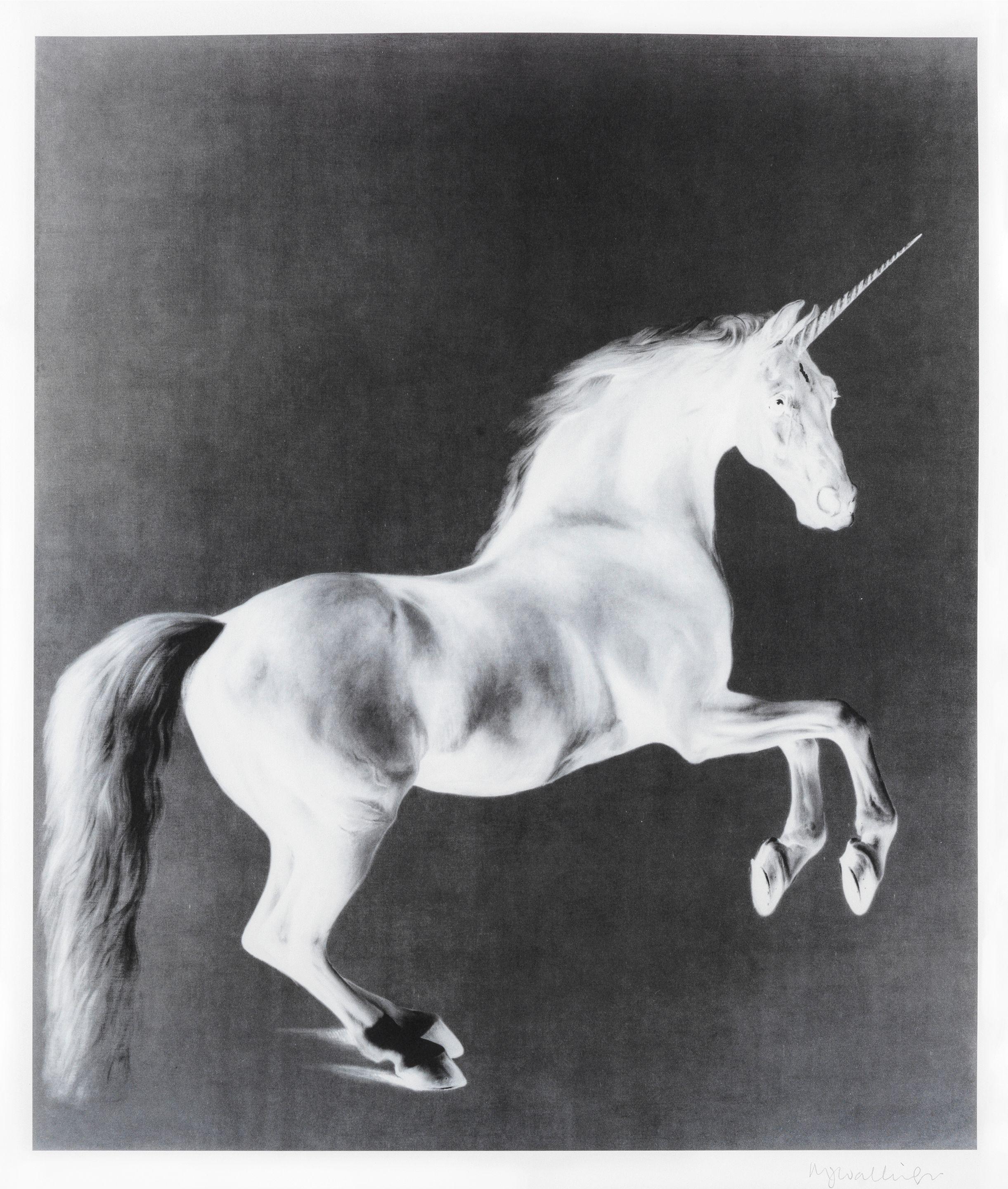 Mark Wallinger - Ghost