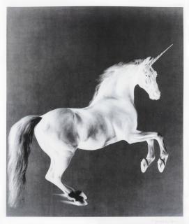 Mark Wallinger - Ghost