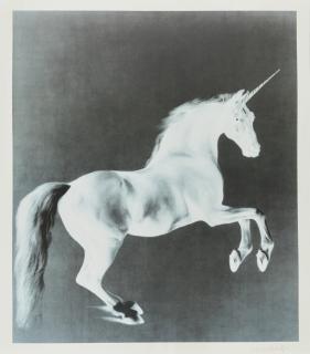 Mark Wallinger - Ghost