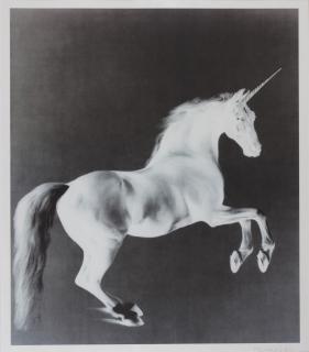 Mark Wallinger - Ghost