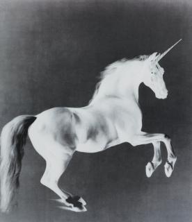 Mark Wallinger - Ghost