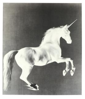 Mark Wallinger - Ghost