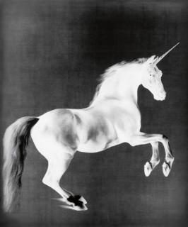 Mark Wallinger - Ghost