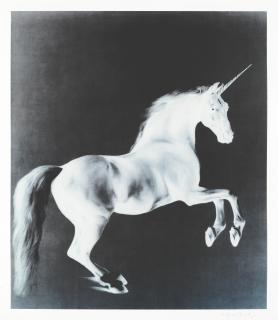 Mark Wallinger - Ghost