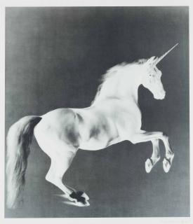 Mark Wallinger - Ghost