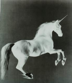 Mark Wallinger - Ghost