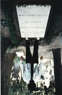 Mark Wallinger - The Word In The Dessert I