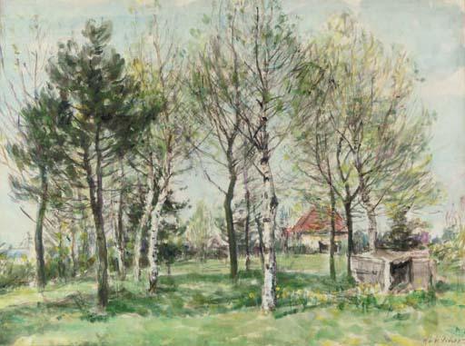 Mark William Fisher - Birch trees in spring
