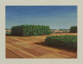 Markus Matthias Krüger - \