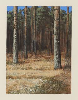 Markus Matthias Krüger - \