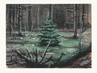 Markus Matthias Krüger - „Nachwuchs“