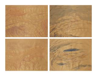 Markus Raetz - Landschaften