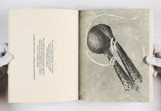 Markus Raetz - Ohne Titel (für Parkett 8).