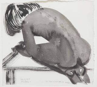 Marlene Dumas - Secret Files