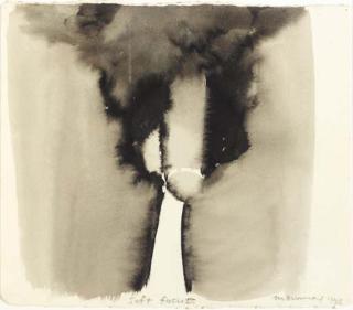 Marlène Dumas - Soft Focus