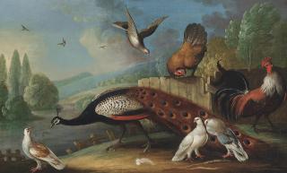 Marmaduke Craddock - A peacock, pigeons and chickens in a wooded river landscape