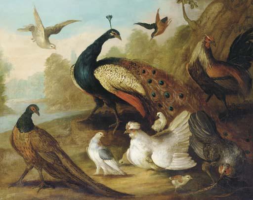 Marmaduke Cradock - A Peacock, Pheasant, Hen, A Dove And Other Fowl In A River Landscape