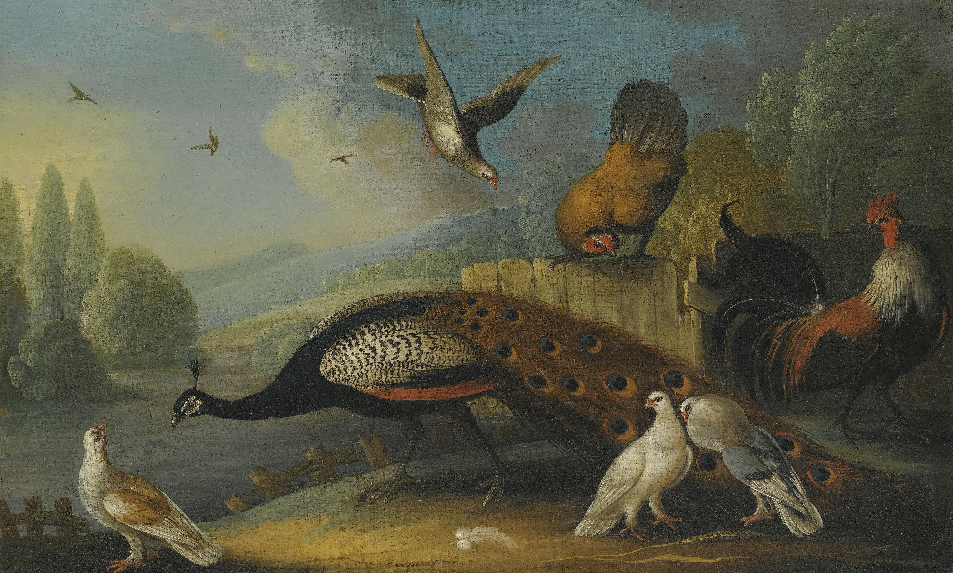 Marmaduke Cradock - A Still Life With A Peacock, Pigeons And Chickens In A River Landscape