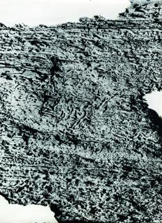 Marta Hoepffner - Abstrakte Formen in Holz