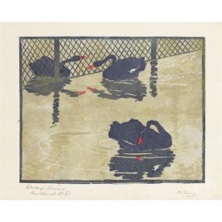 Martha Cunz - Schwarze Schwäne Black Swans  