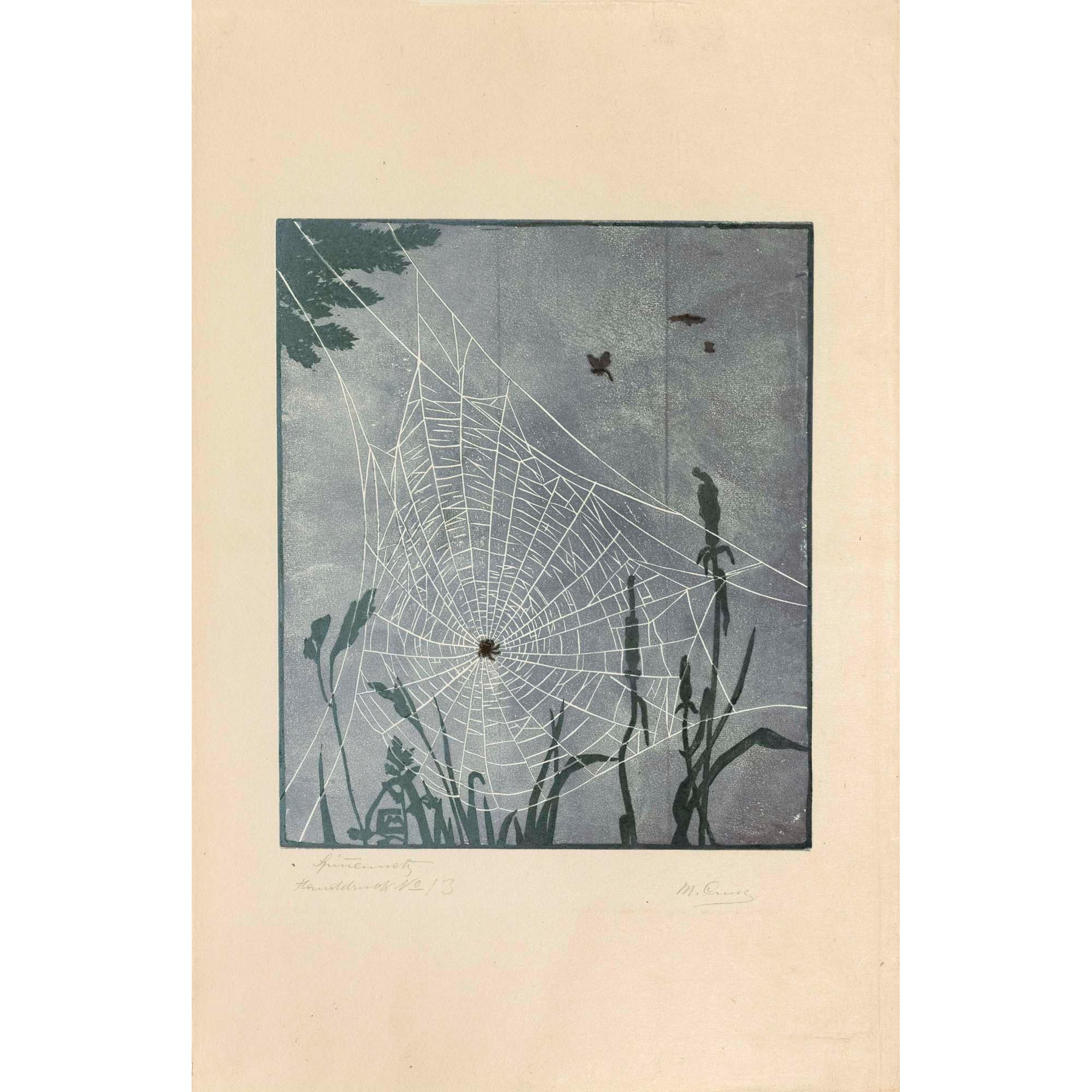 Martha Cunz - Spinnennetz Spider\'S Web