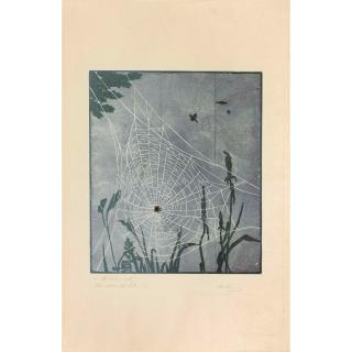 Martha Cunz - Spinnennetz Spider\'S Web