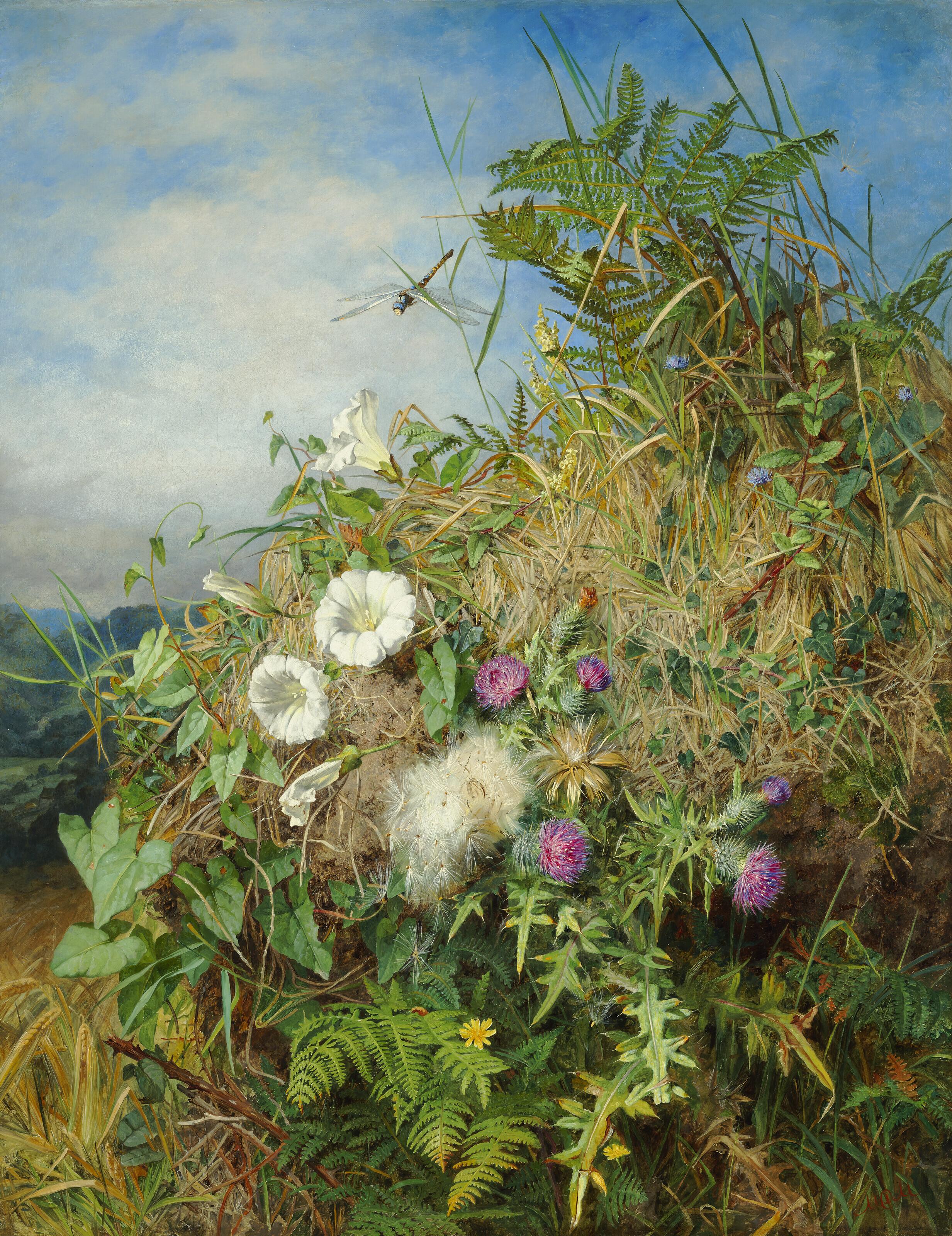 Martha Darley Mutrie - Wild flowers at the corner of a cornfield