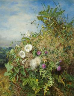 Martha Darley Mutrie - Wild flowers at the corner of a cornfield