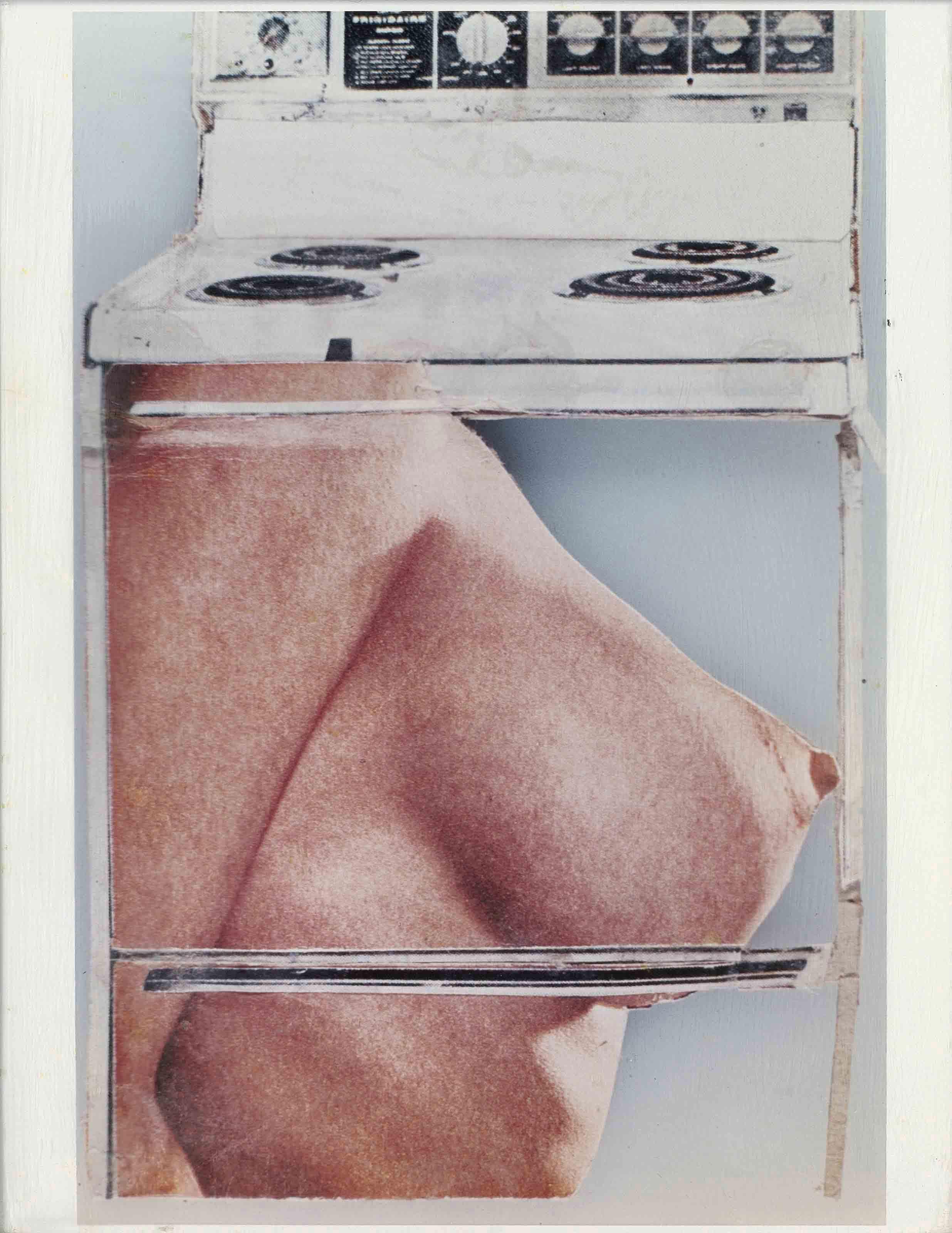 Martha Rosler - Body Beautiful, Or Beauty Knows No Pain (Hot Meat)