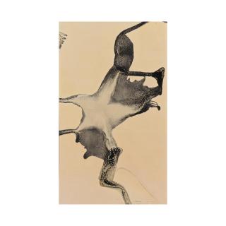 Martial Raysse - Coulée