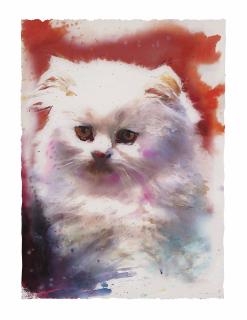 Martin Eder - Untitled (Cat)