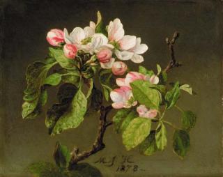 Martin Johnson Heade - A Branch of Apple Blossoms and Buds