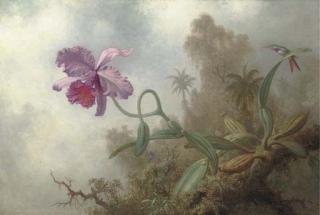 Martin Johnson Heade - An Orchid With An Amethyst Woodstar