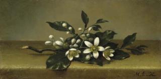 Martin Johnson Heade - Branch of Orange Blossoms