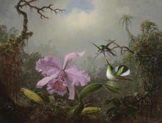 Martin Johnson Heade - Cattleya Orchid with Two Brazilian Hummingbirds