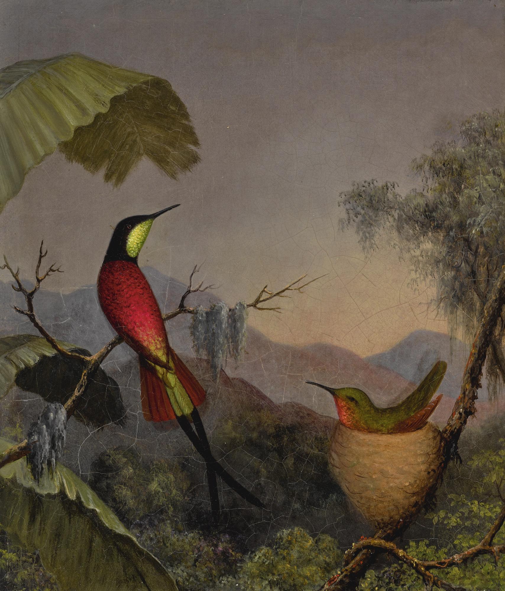 Martin Johnson Heade - \