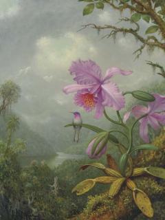 Martin Johnson Heade - Hummingbird Perched on an Orchid Plant