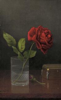 Martin Johnson Heade - Queen of Roses