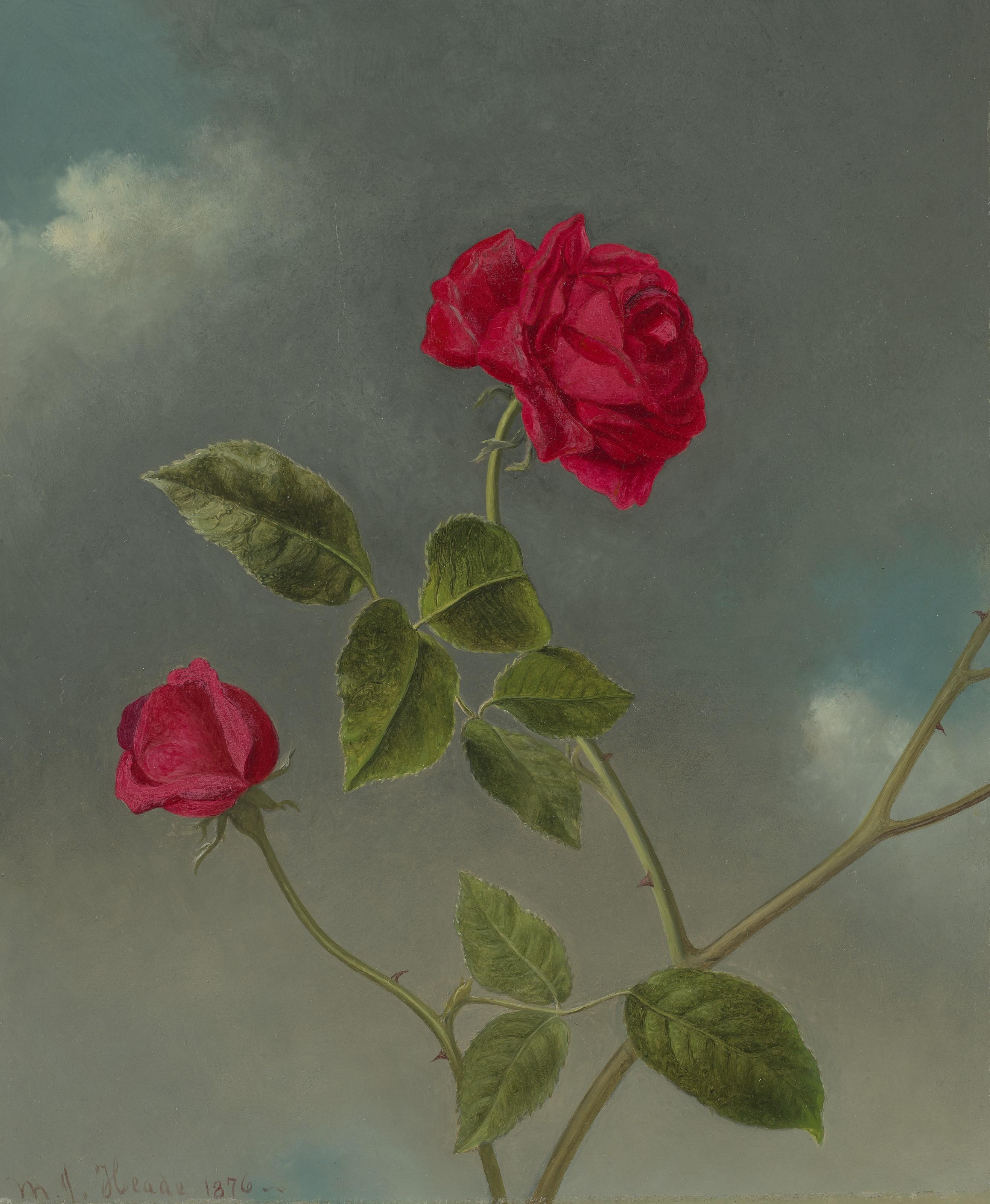 Martin Johnson Heade - Roses