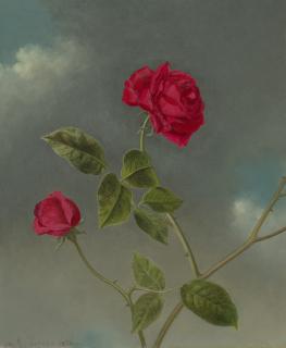 Martin Johnson Heade - Roses