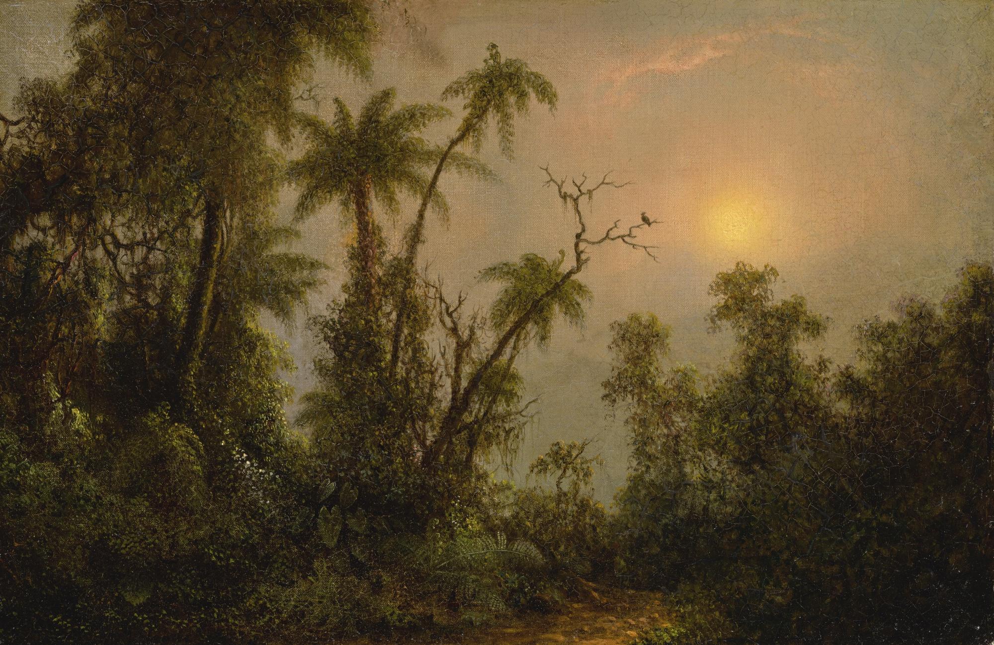 Martin Johnson Heade - Tropical Forest Scene