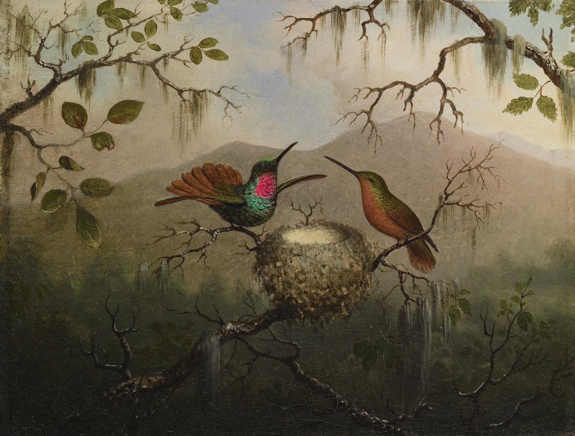 Martin Johnson Heade - Two Hummingbirds At A Nest